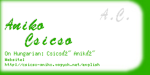 aniko csicso business card